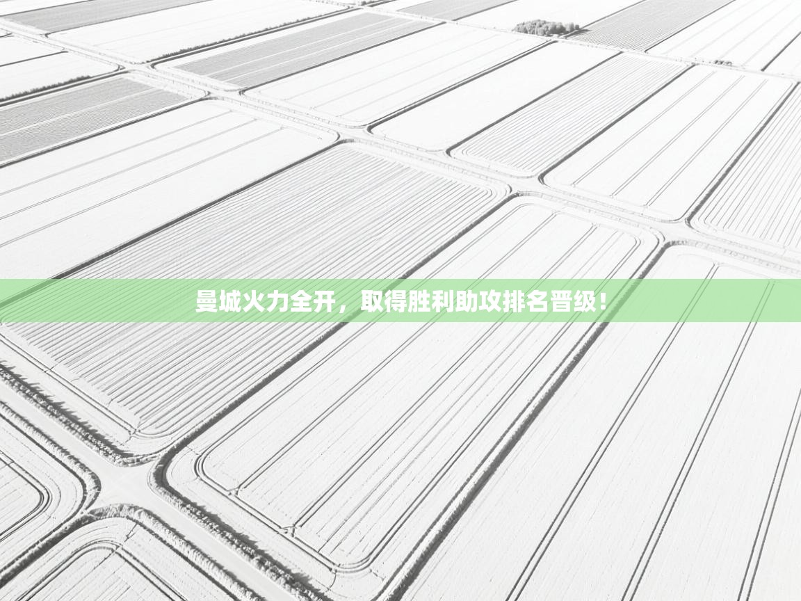 开云体育app下载地址-曼城火力全开,取得胜利助攻排名晋级!  第1张