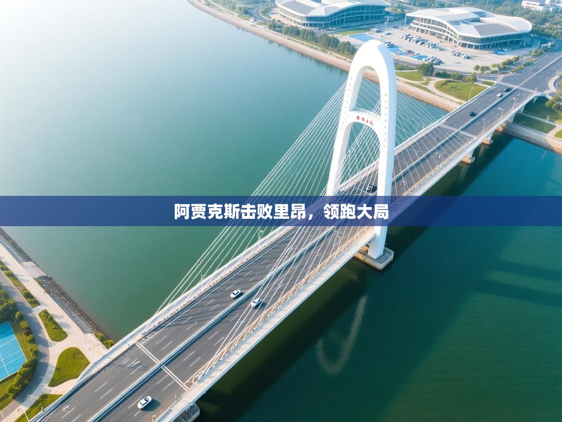 开云APP-阿贾克斯击败里昂,领跑大局  第2张