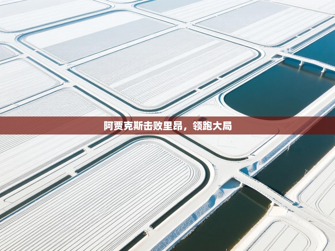 开云APP-阿贾克斯击败里昂,领跑大局  第3张