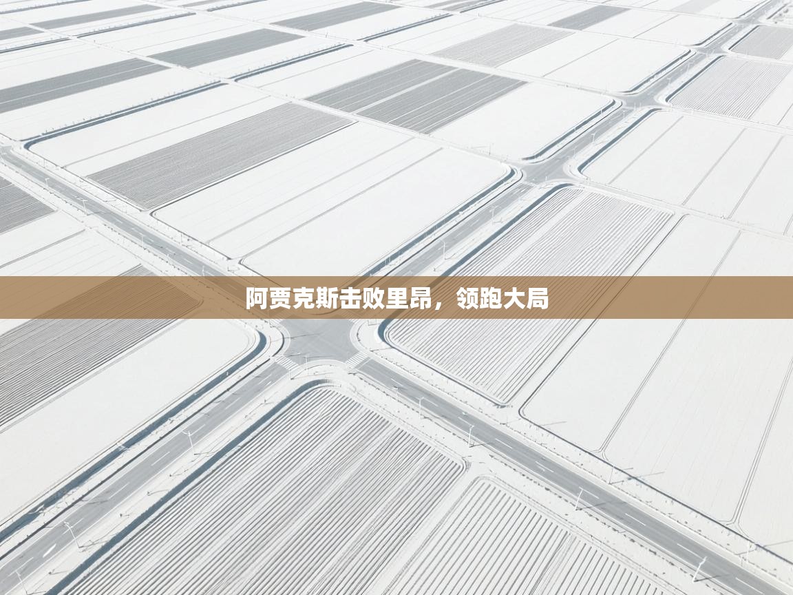 开云APP-阿贾克斯击败里昂,领跑大局  第4张
