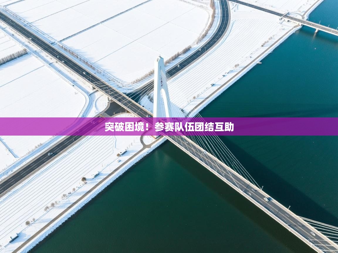 开云体育数据中心统计-突破困境!参赛队伍团结互助 第1张