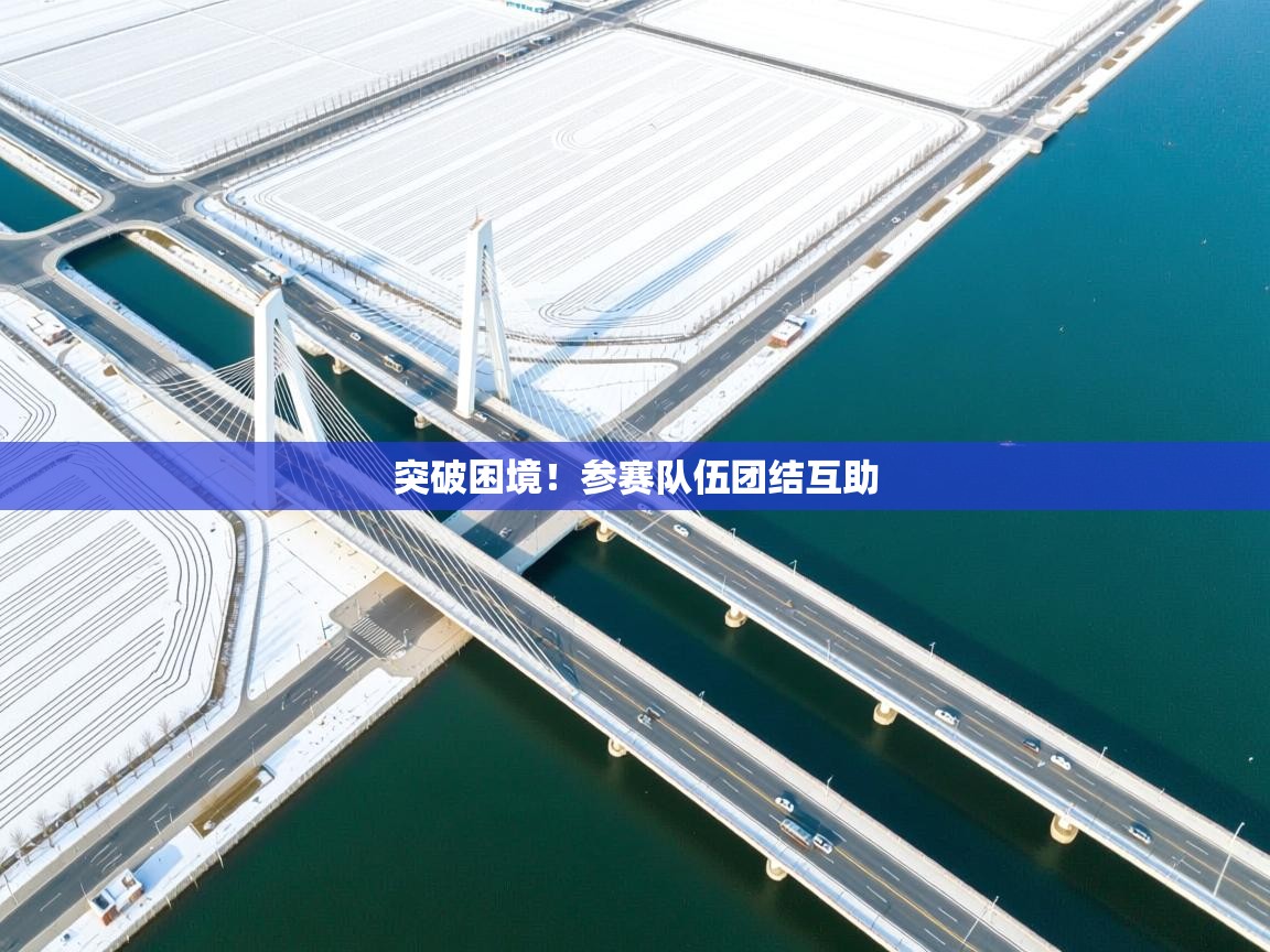 开云体育数据中心统计-突破困境!参赛队伍团结互助 第3张