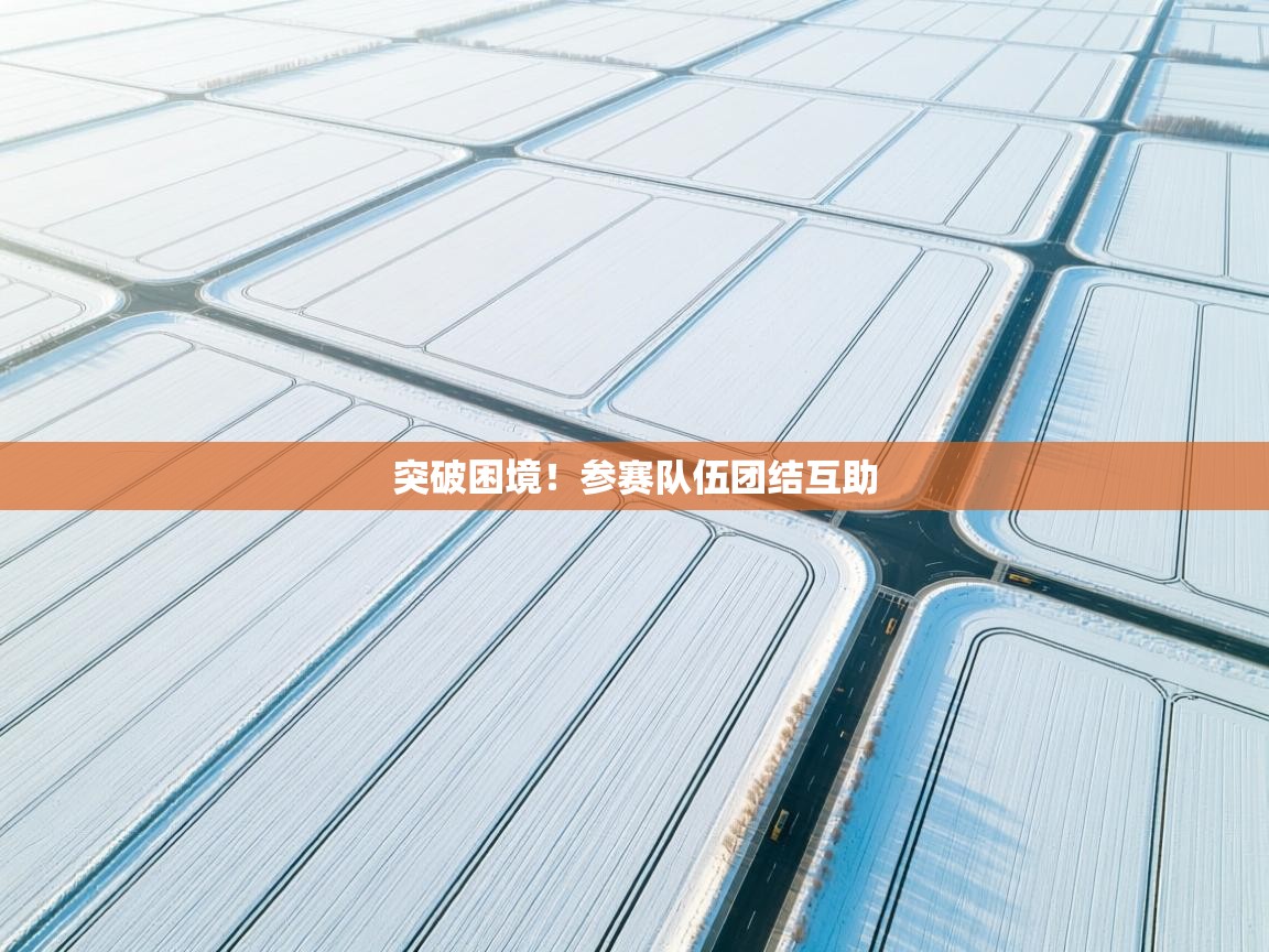 开云体育数据中心统计-突破困境!参赛队伍团结互助 第4张