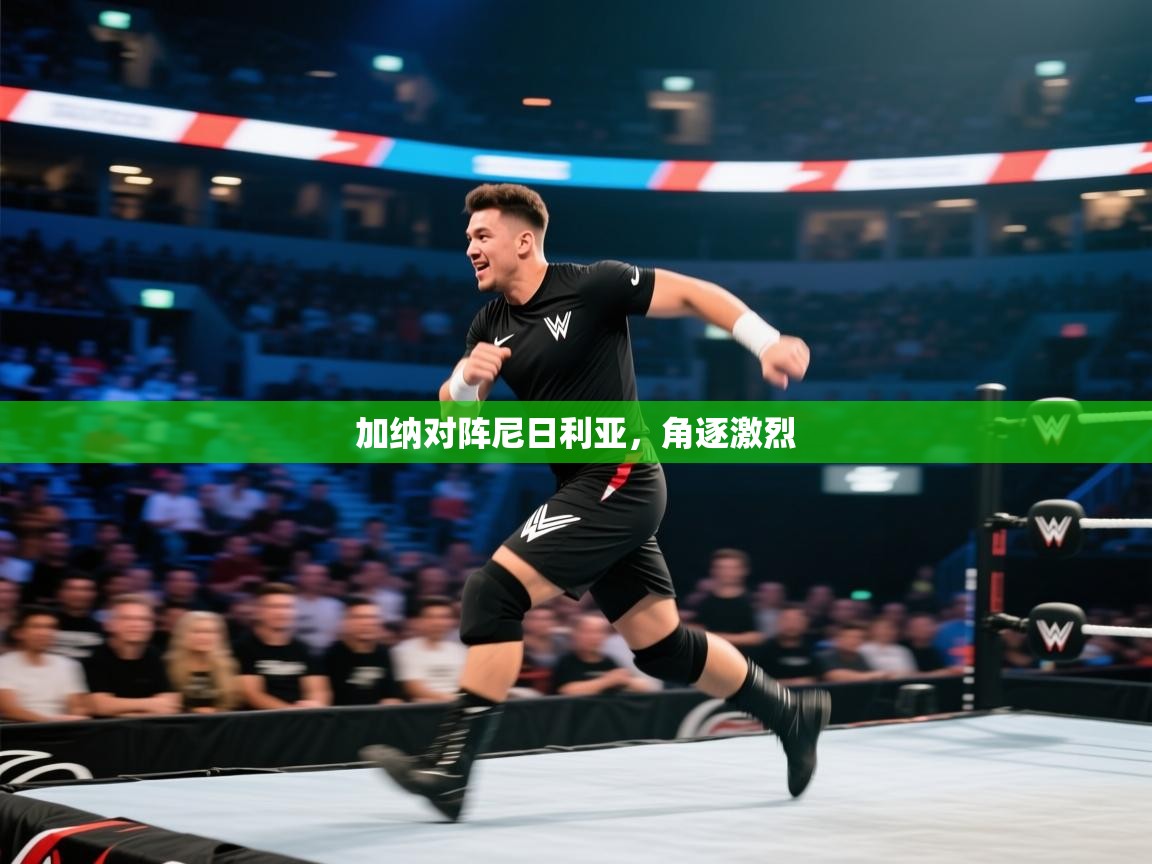 开云体育app投诉-加纳对阵尼日利亚,角逐激烈 第4张