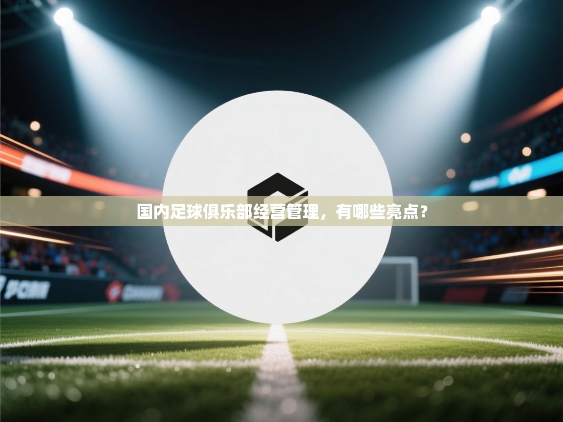 开云体育新人指引-国内足球俱乐部经营管理,有哪些亮点? 第2张