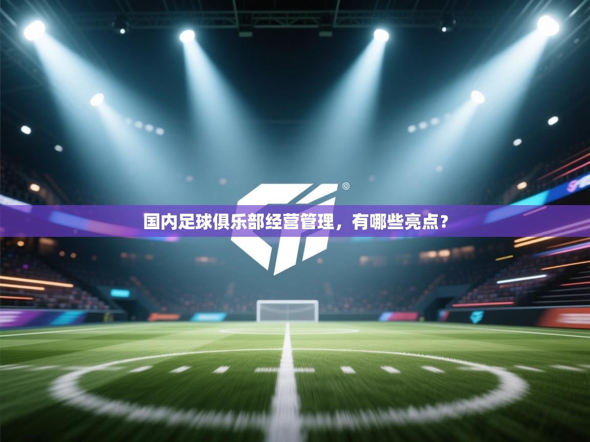 开云体育新人指引-国内足球俱乐部经营管理,有哪些亮点? 第3张