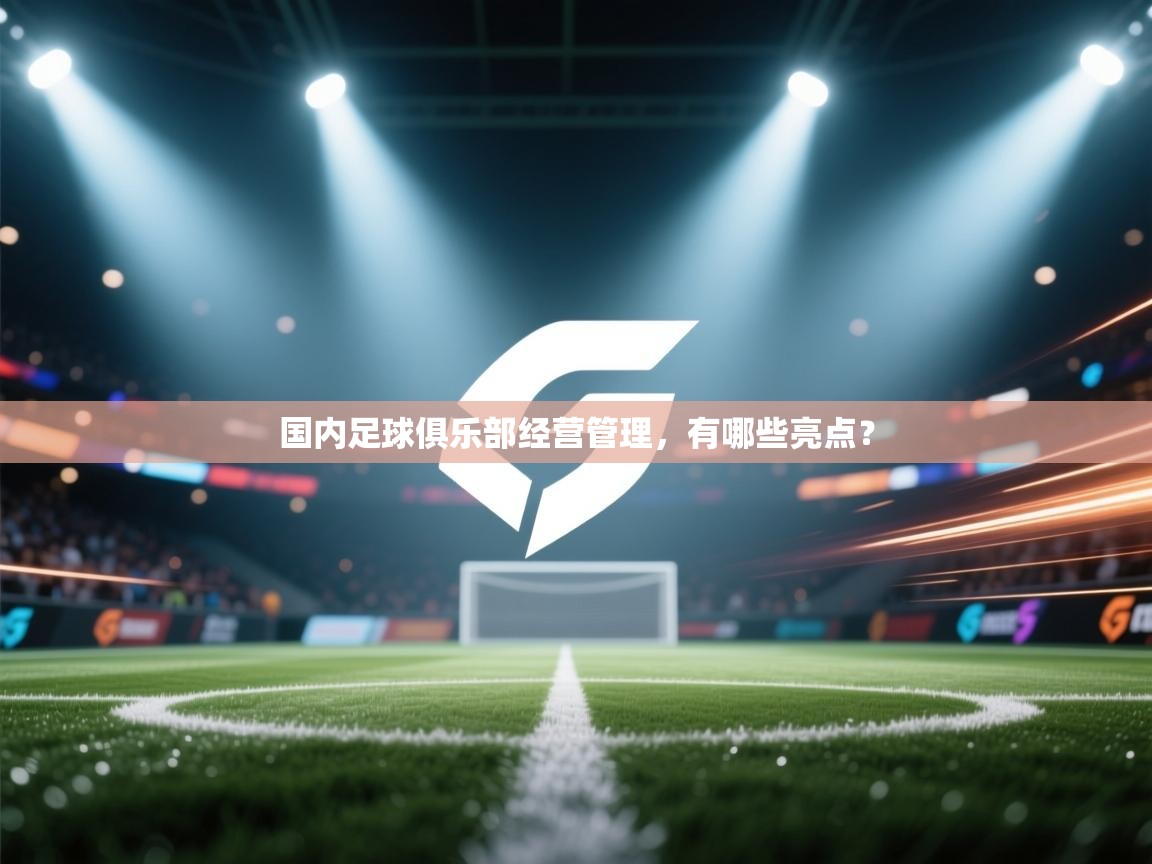 开云体育新人指引-国内足球俱乐部经营管理,有哪些亮点? 第4张