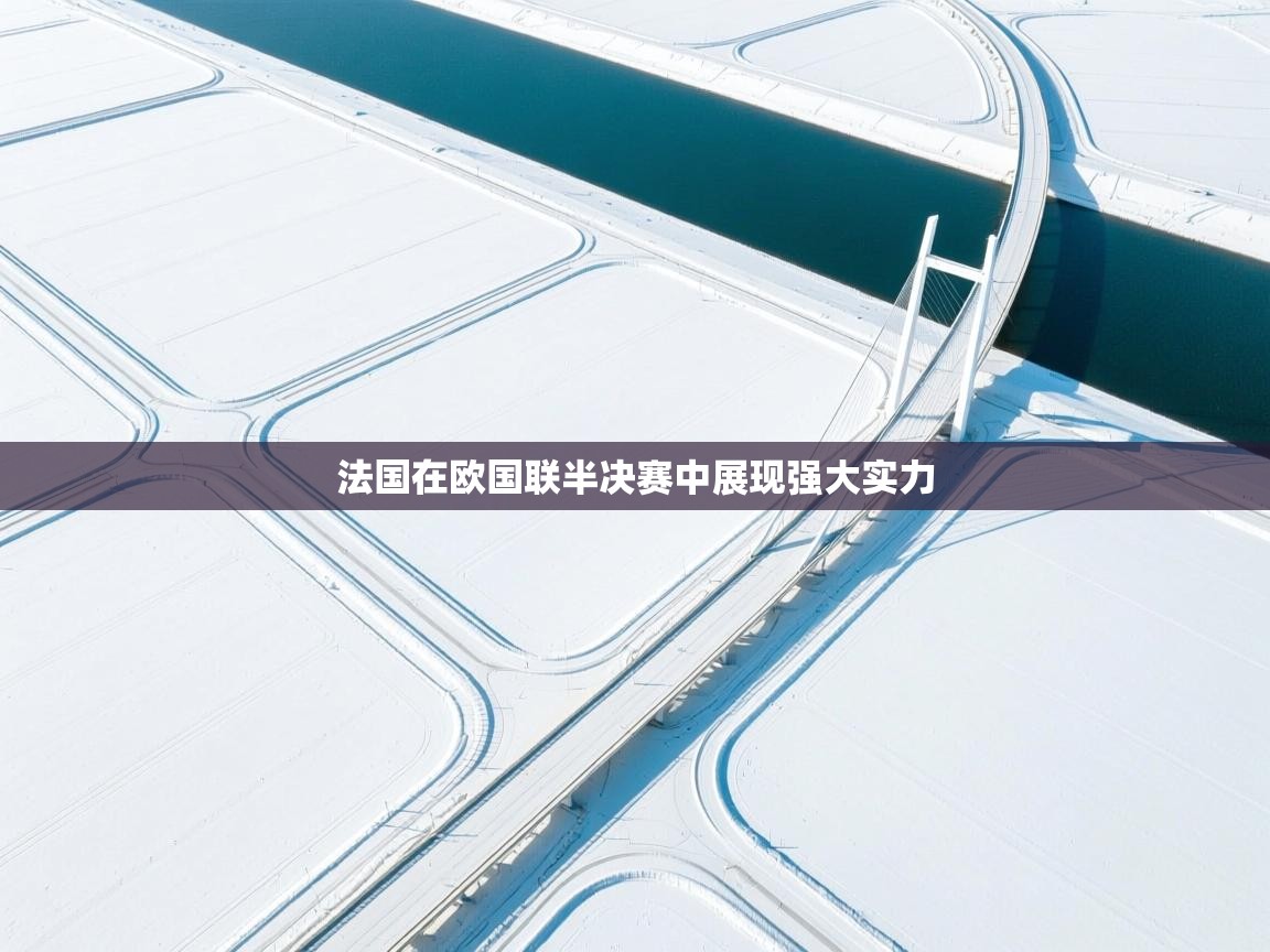 开云登录-法国在欧国联半决赛中展现强大实力  第3张