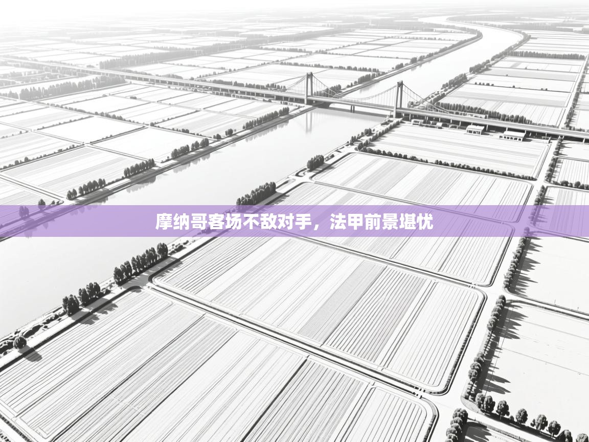 开云体育入口手机版-摩纳哥客场不敌对手，法甲前景堪忧  第2张