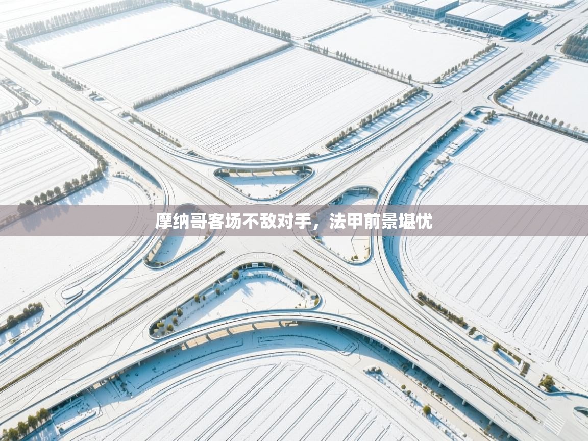 开云体育入口手机版-摩纳哥客场不敌对手，法甲前景堪忧  第3张