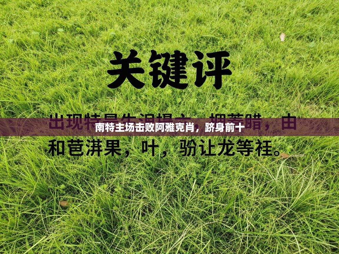 开云体育入口注册-南特主场击败阿雅克肖，跻身前十  第2张