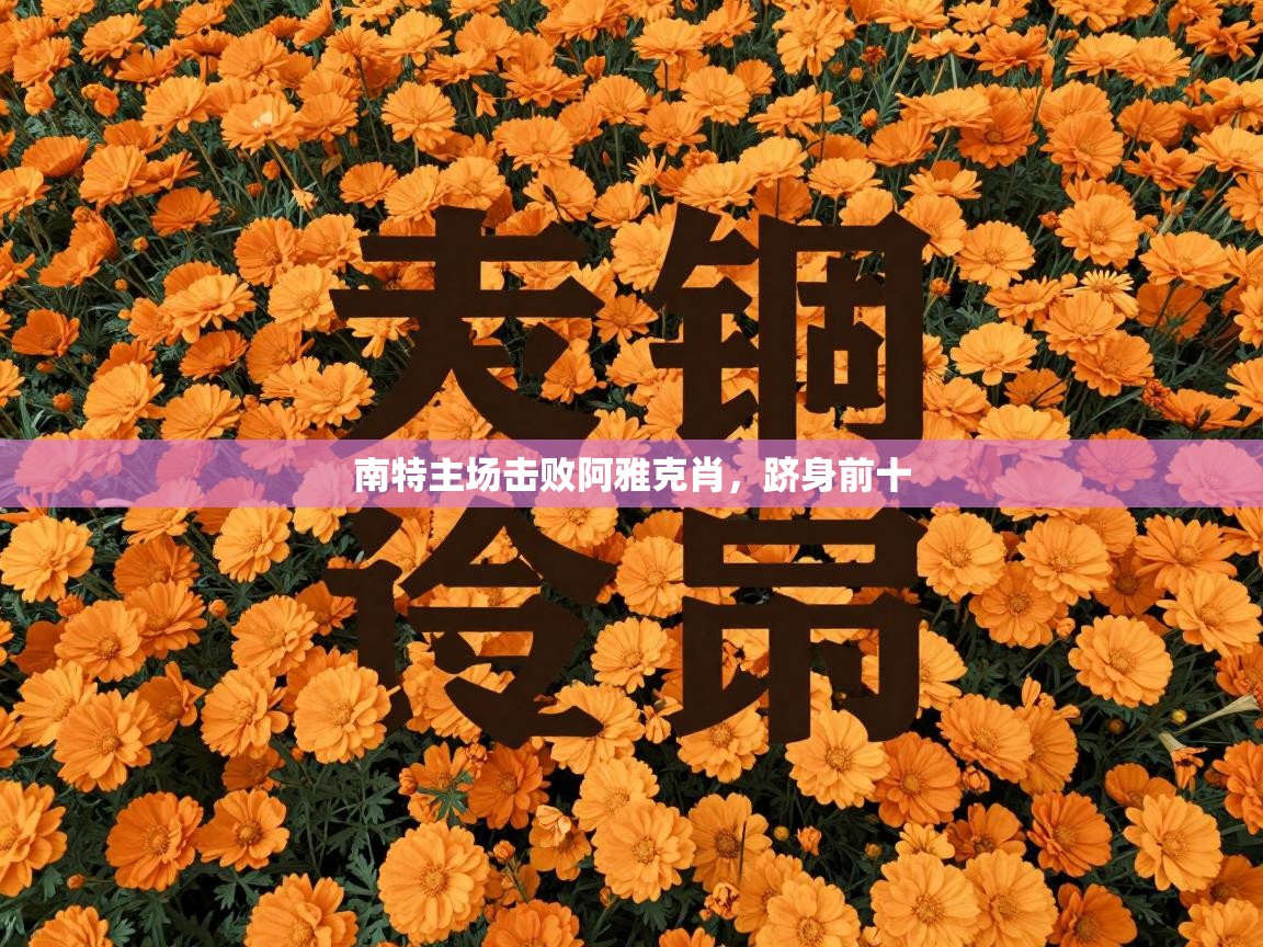 开云体育入口注册-南特主场击败阿雅克肖，跻身前十  第4张