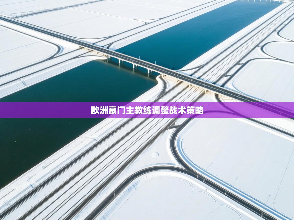 开云体育极速下载镜像-欧洲豪门主教练调整战术策略 第3张